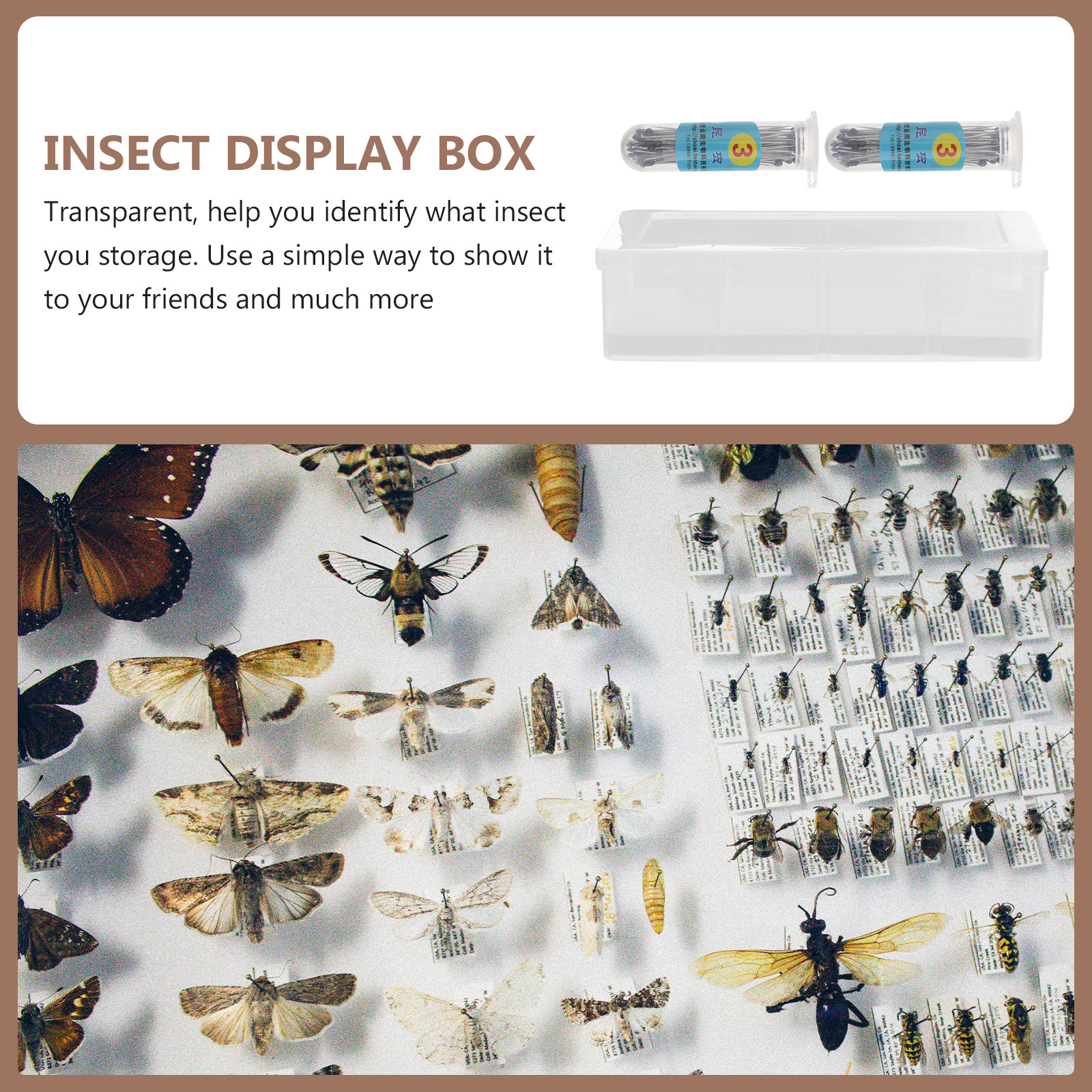 Collectors Coins Jewelry & Watches Of Smithtown Reviews - 1Set Transparent Specimen Box Kit High